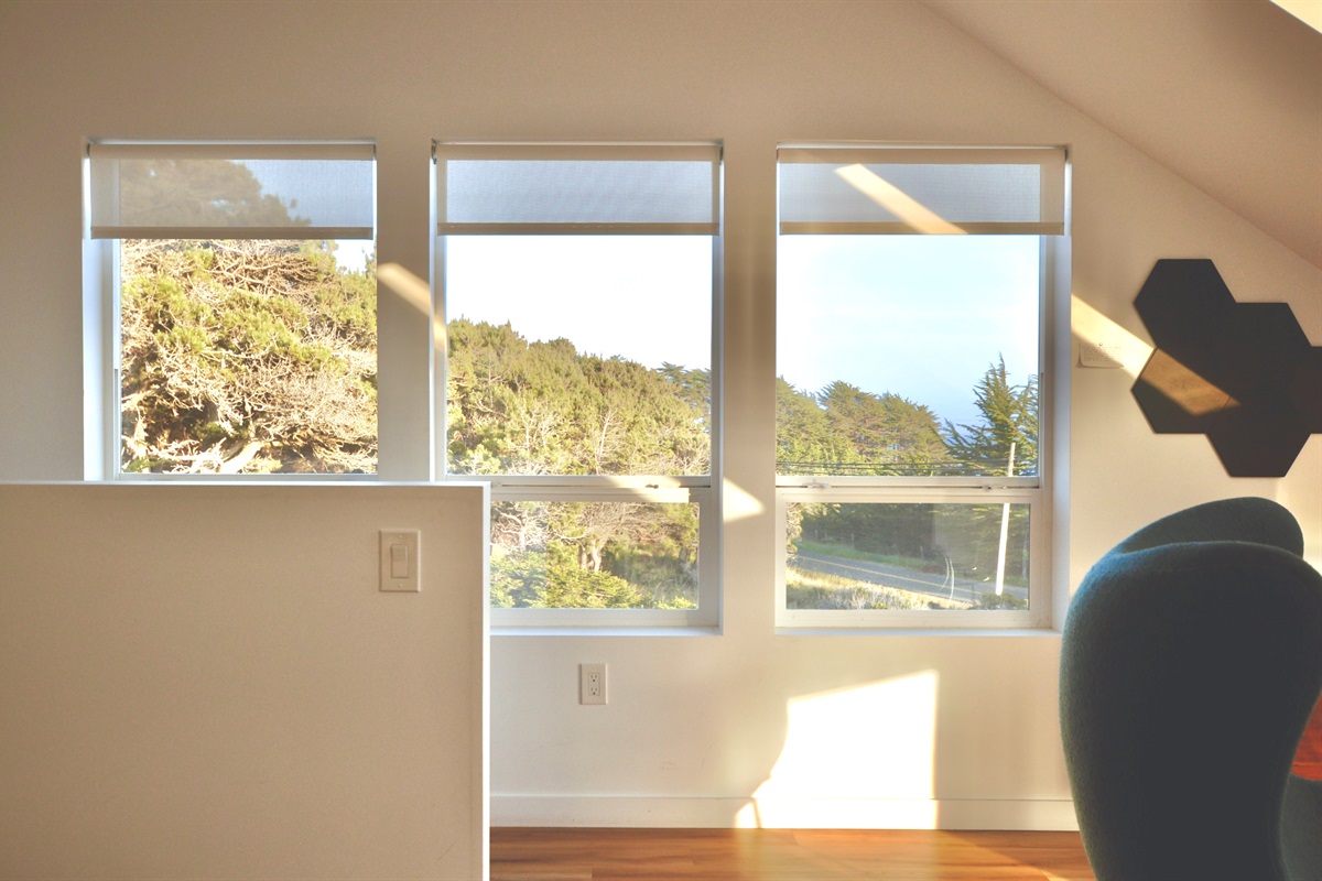 Dramatic evening light.