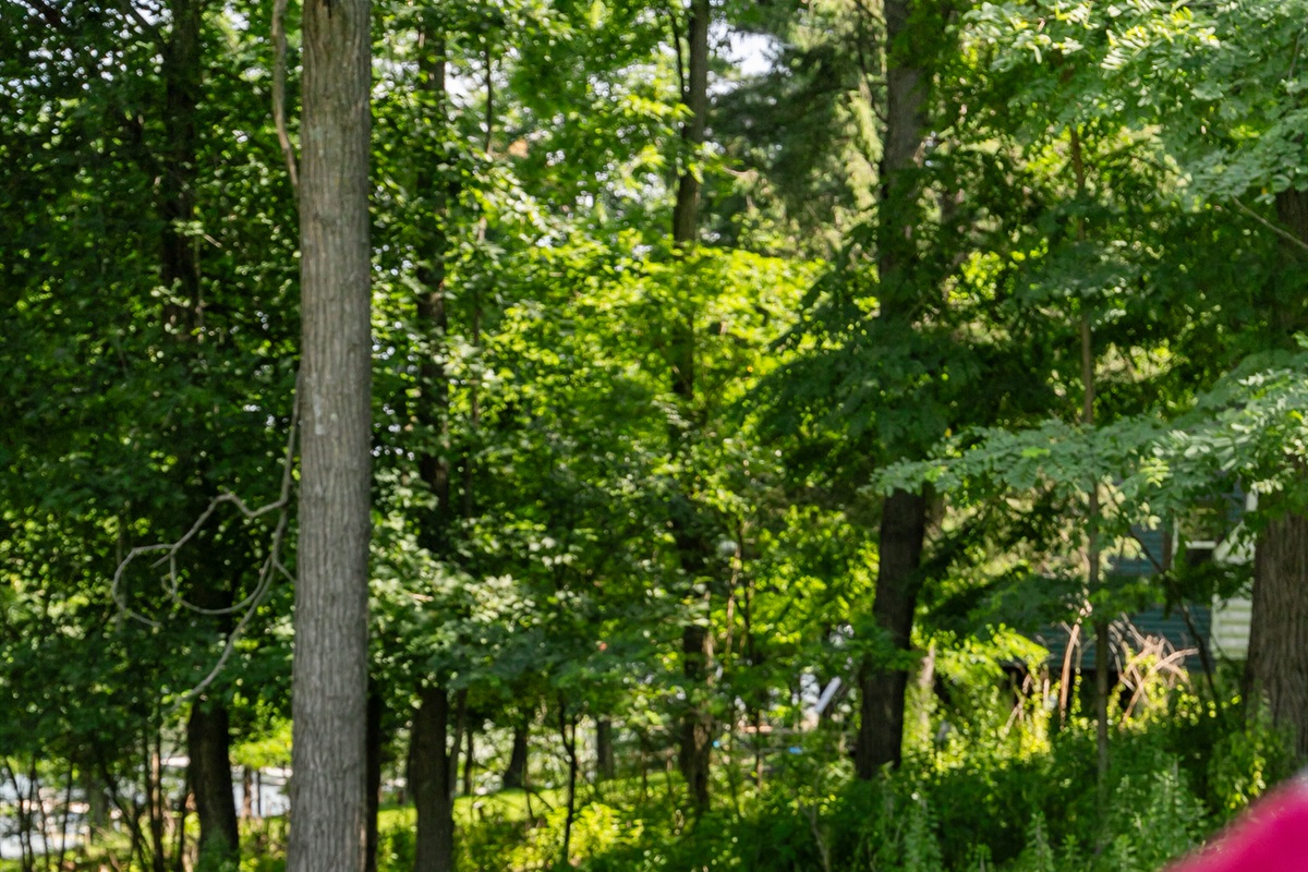 Wake up to birdsong, breathe in the fresh pine-scented air, and enjoy the peaceful beauty of the woods and lake combined.