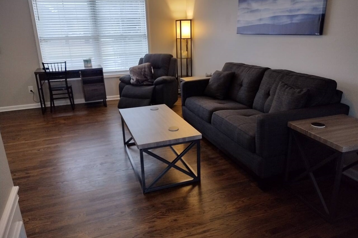 Queen size pull-out couch