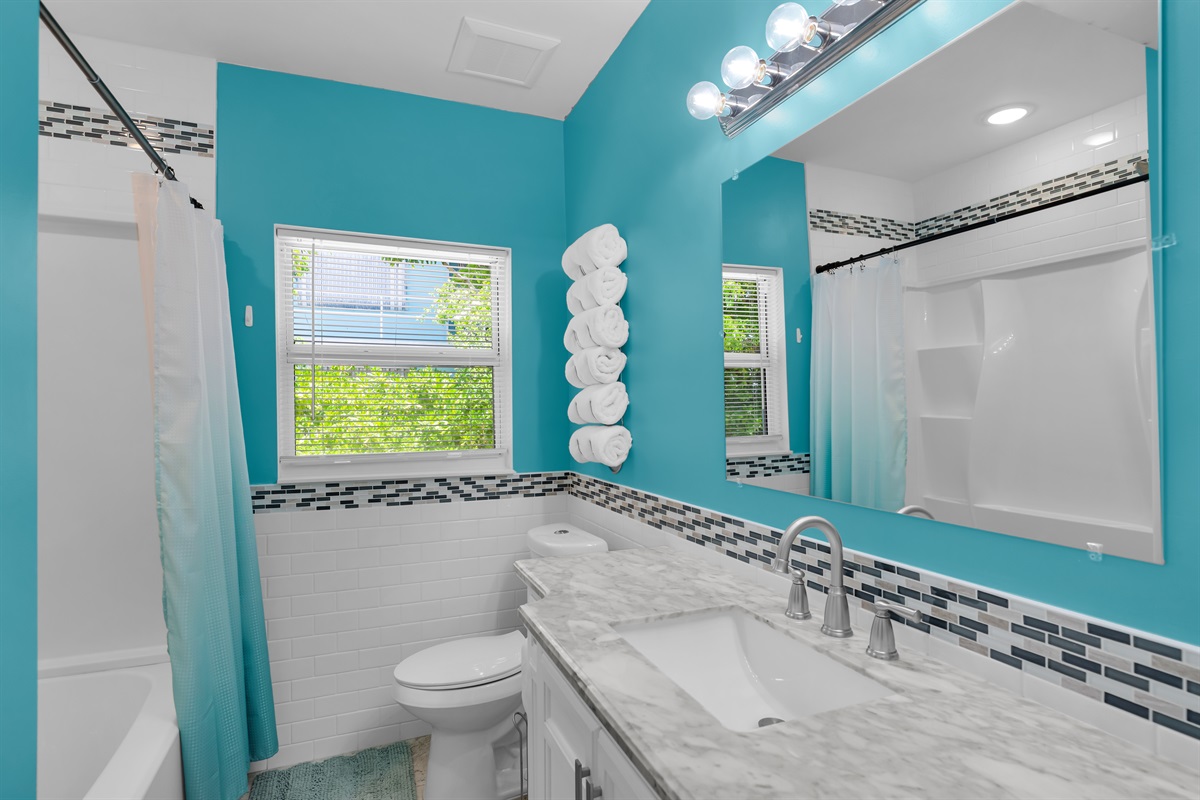 Guest bathroom 