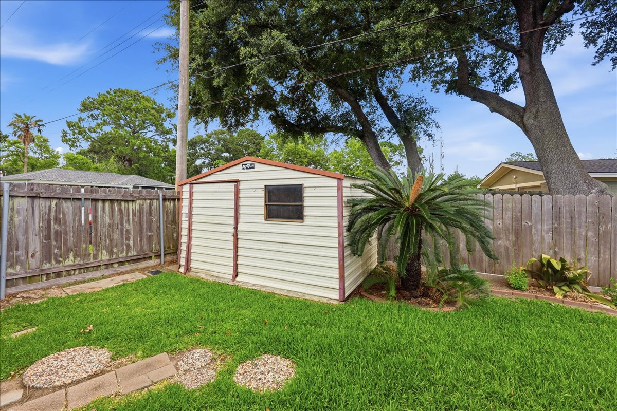 Backyard