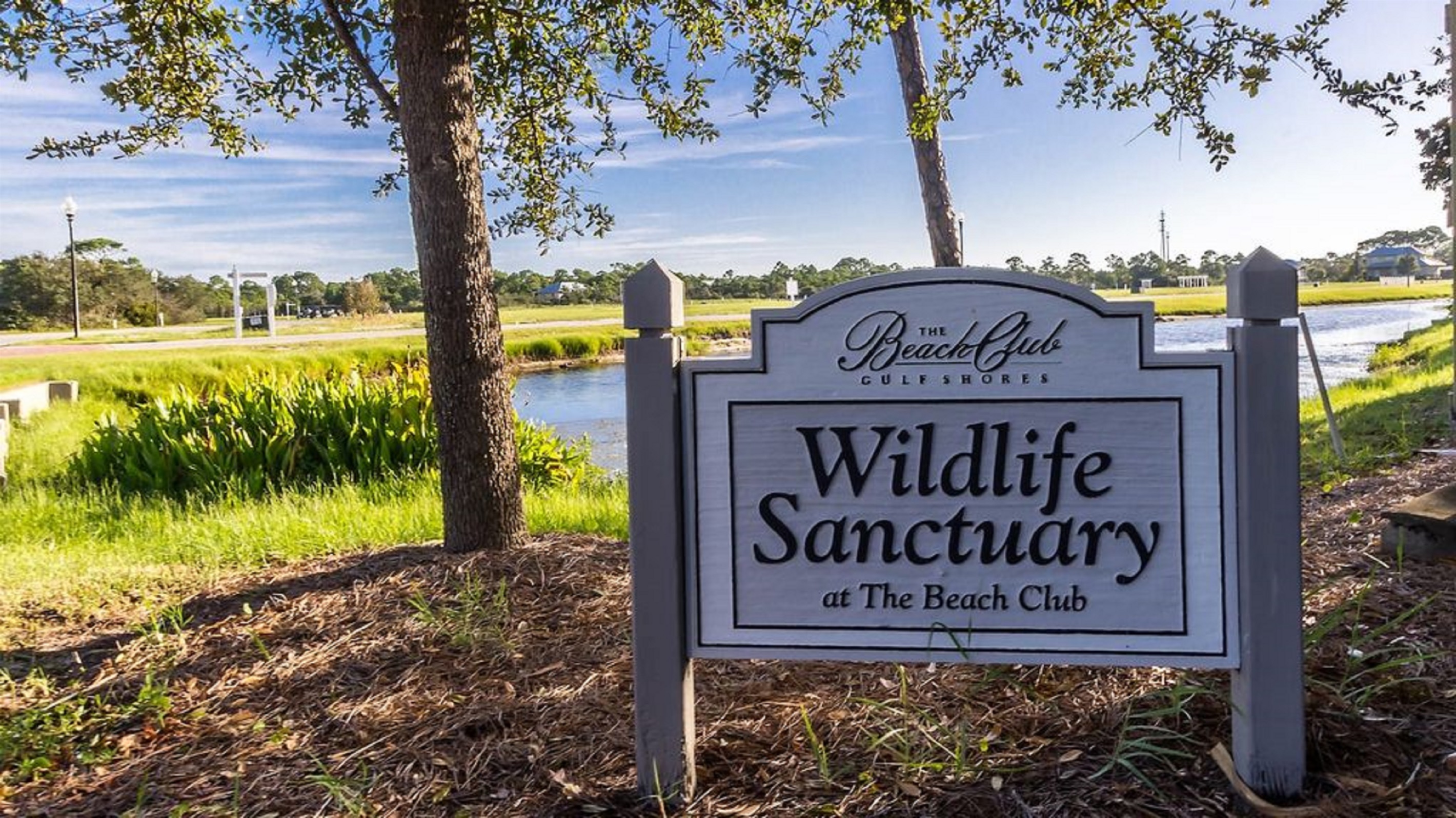 When walking, running, or biking around the property, you'll find several ponds where you might find interesting wildlife