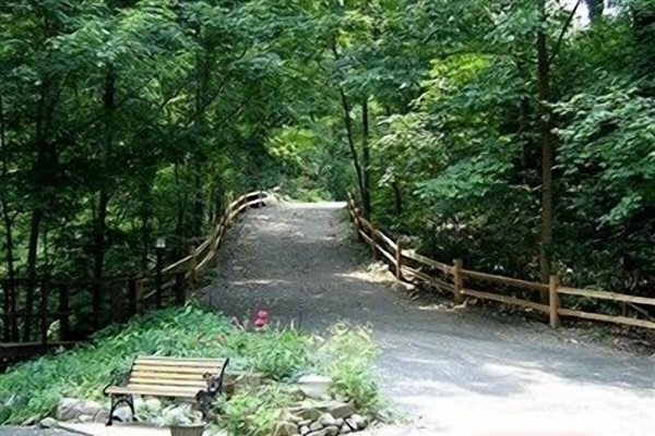 Sanctuaire's beautiful and secluded Driveway