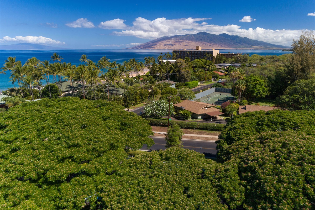 South Maui Living