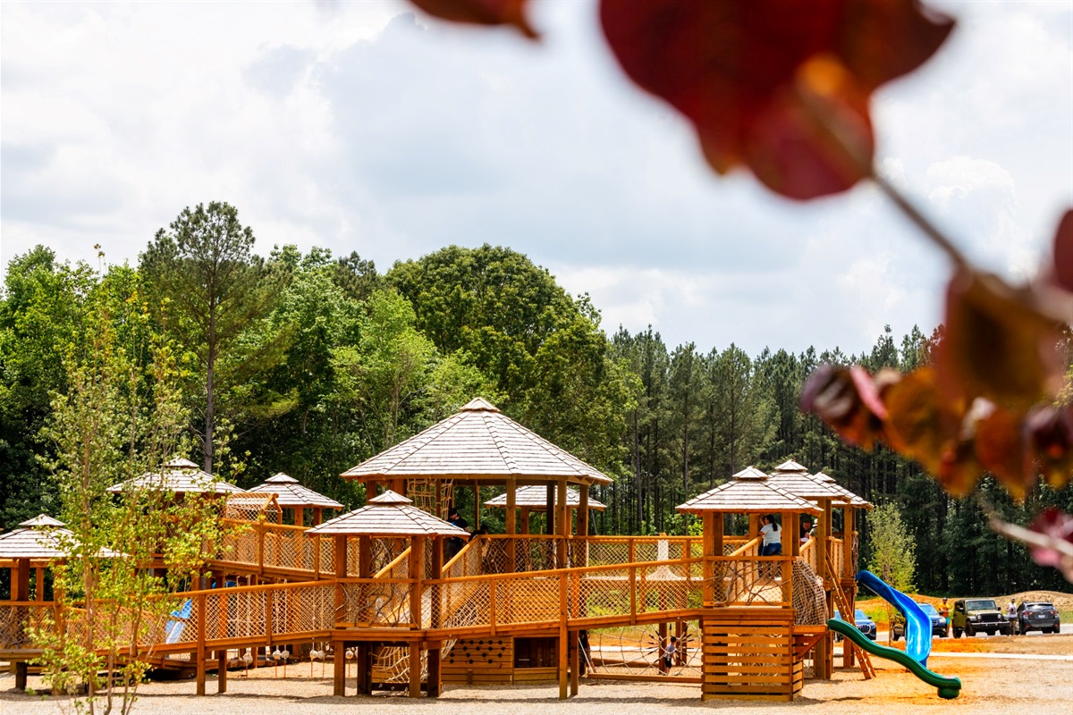 Mountain Creek Park playground