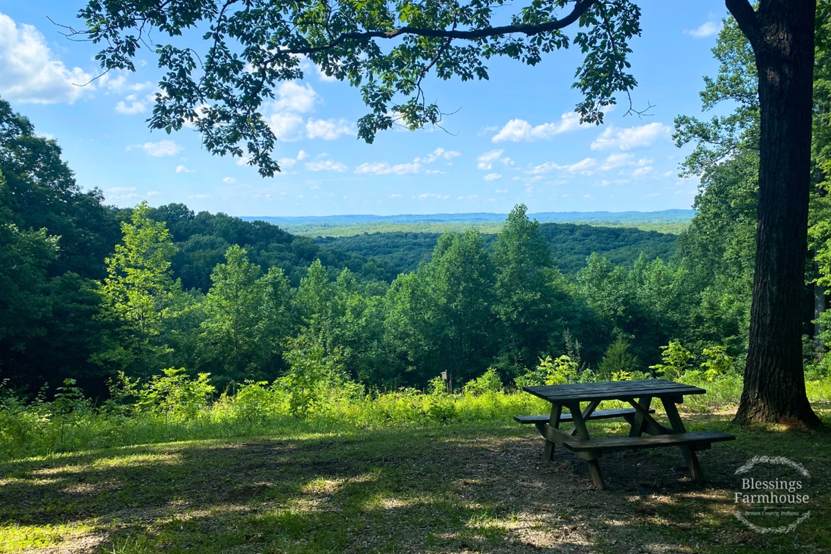Nearby: Brown County State Park - amazing views, hiking, biking and playgrounds year 'round!
