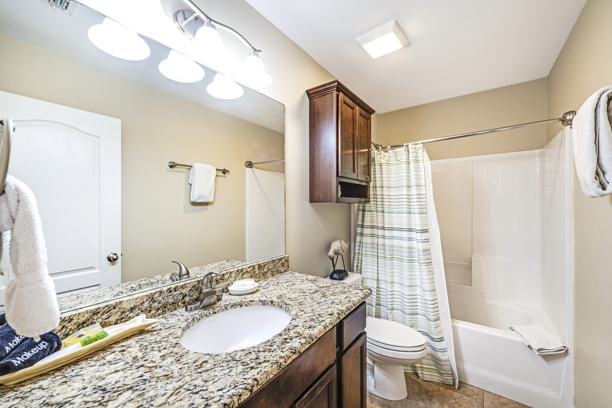Hall Bathroom:  Tub/Shower Combination