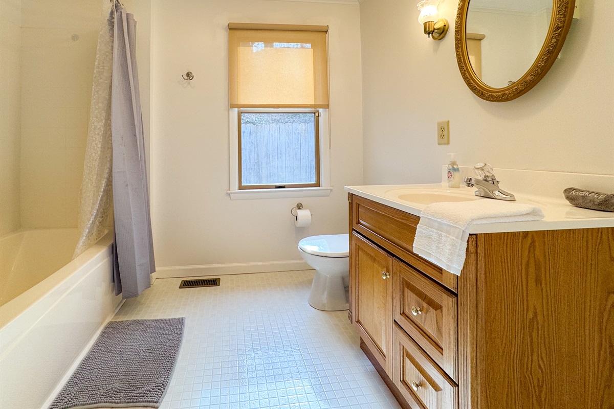 The guest bathroom in the center of the house features a tub/shower combo, toilet, vanity, and our supplied paya organics body wash and shower gel.