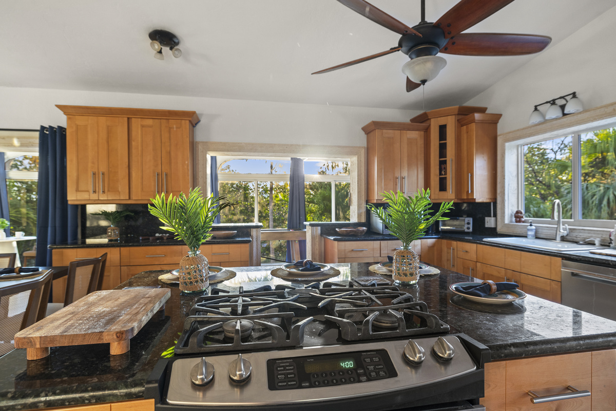 See palm tress out every window while you cook.