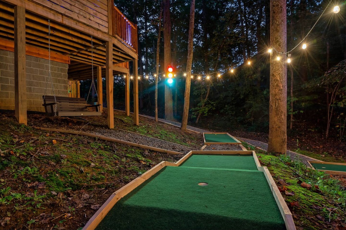 Backyard swing