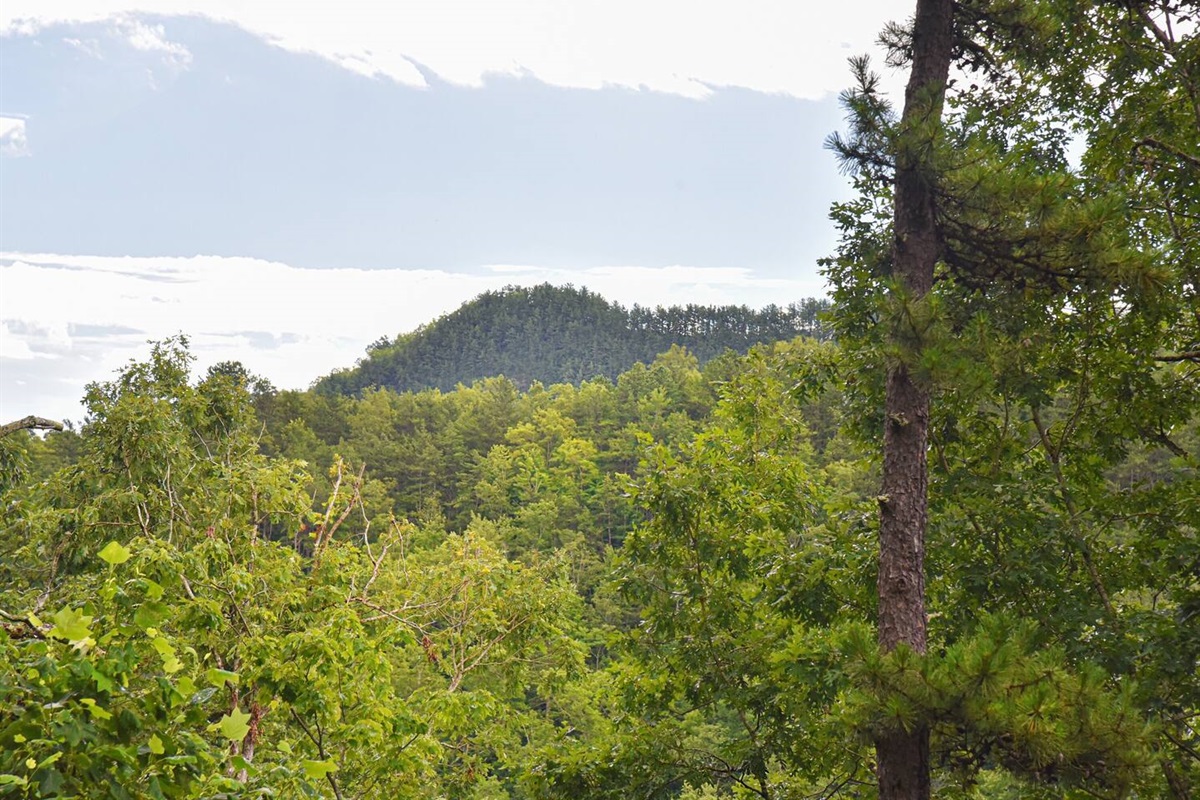Zoomed in View of Mountains