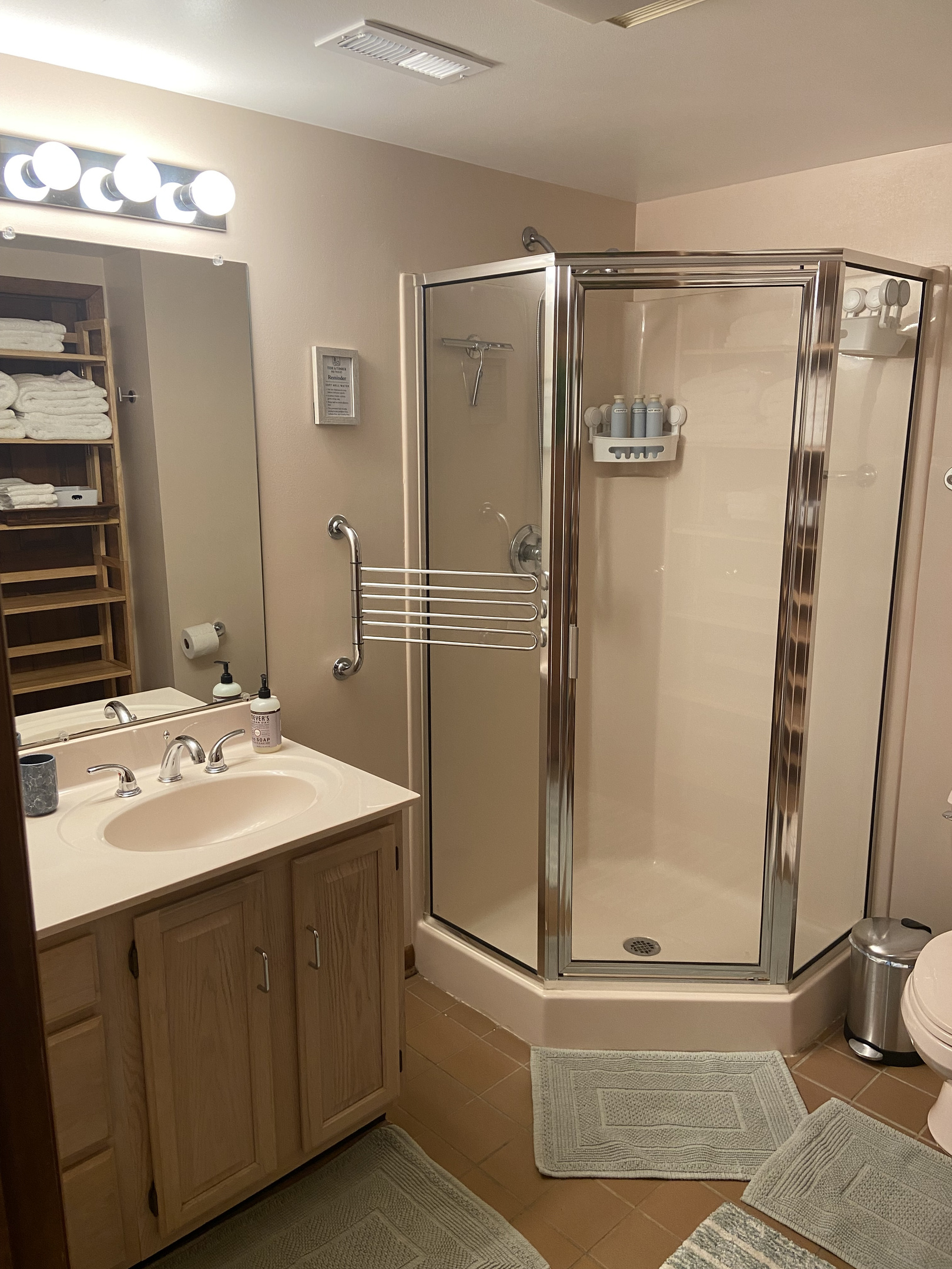 The bathroom has a shower (no tub)