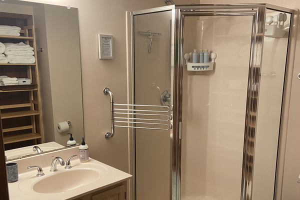 The bathroom has a shower (no tub)