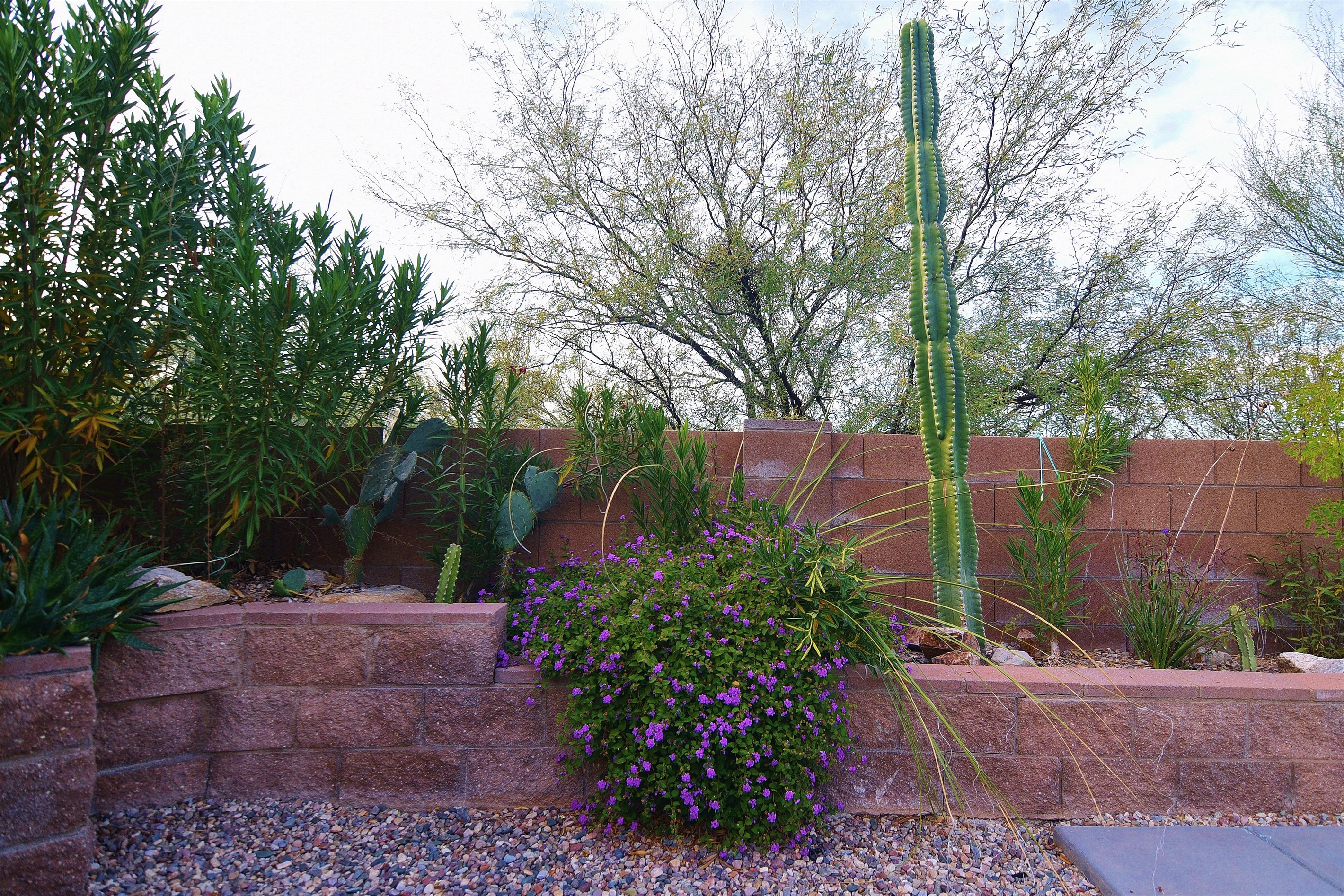 Lush landscaping