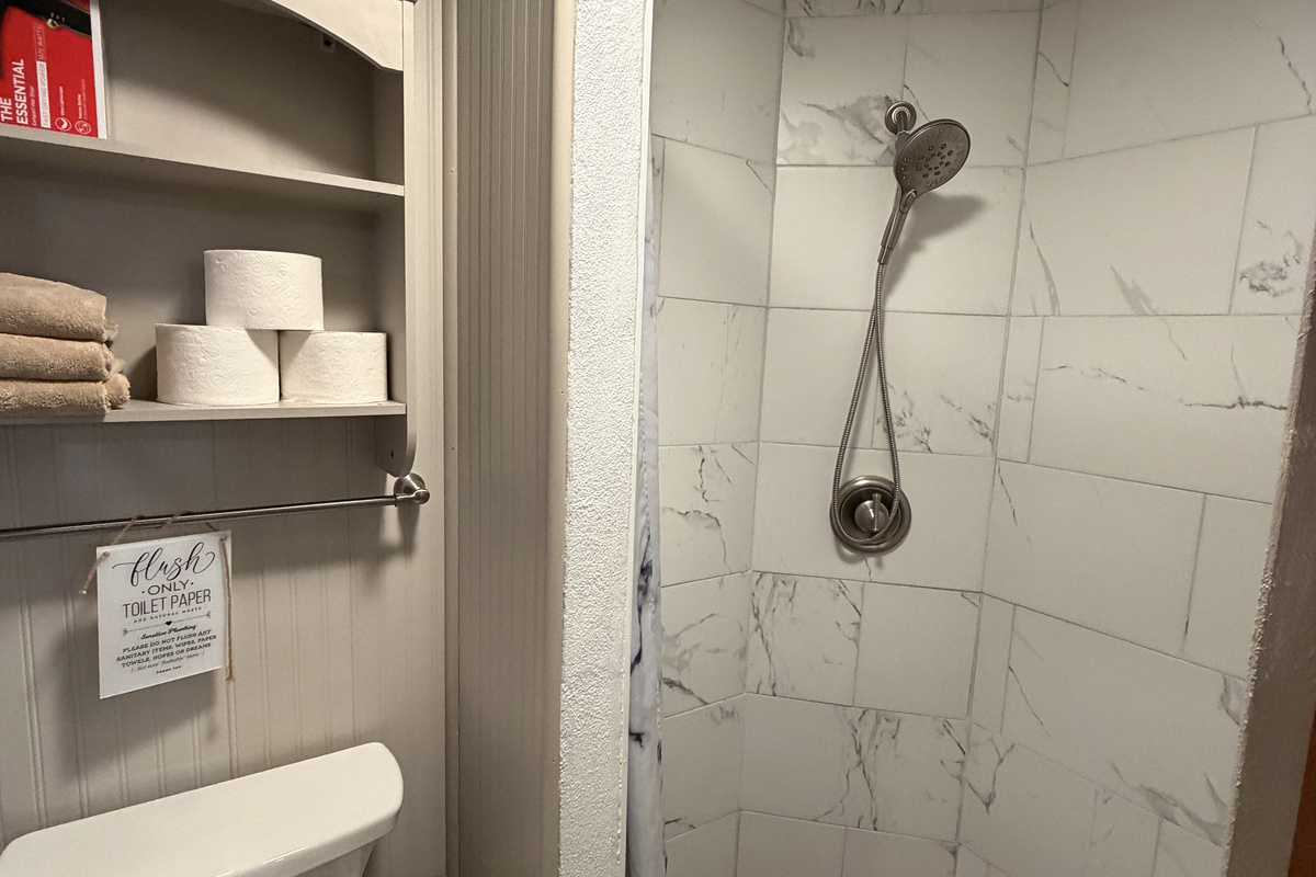 Lower level bathroom with shower