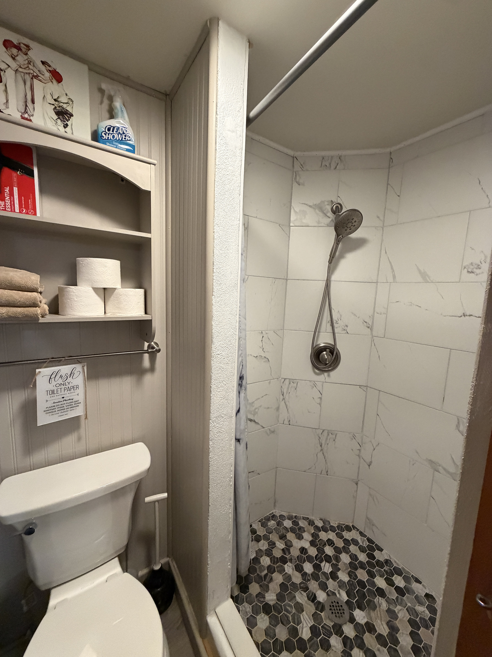 Lower level bathroom with shower