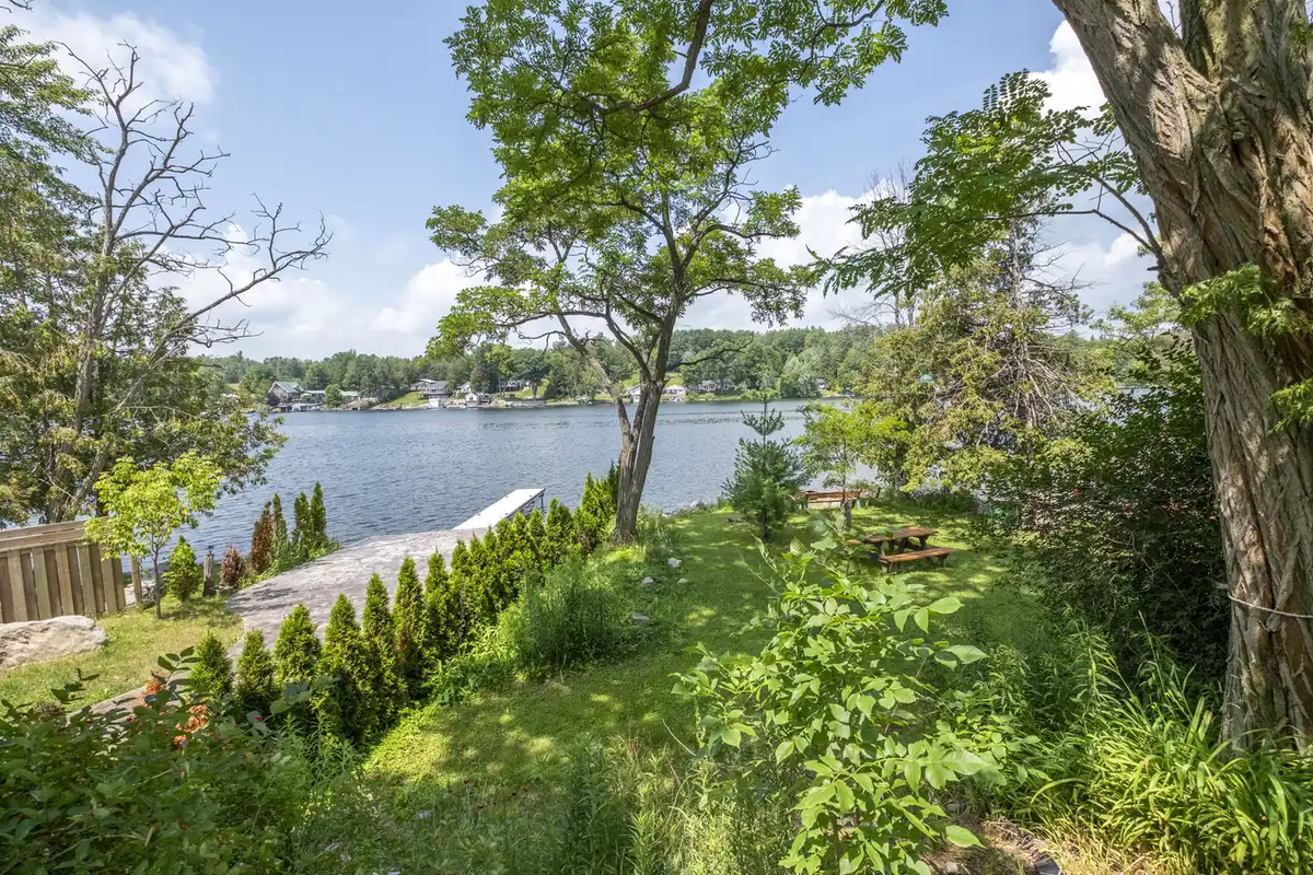 Waterfront view through the trees beside Cottage #2