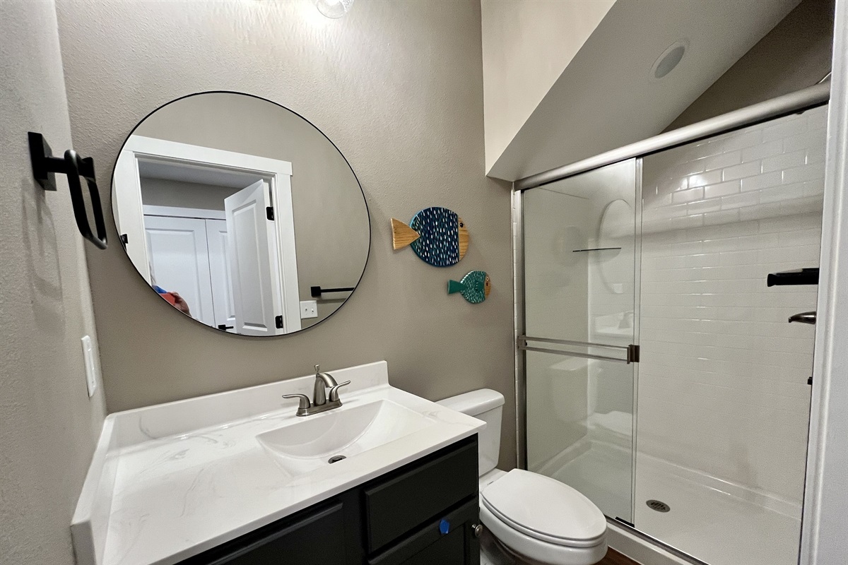 Lower Level Bathroom