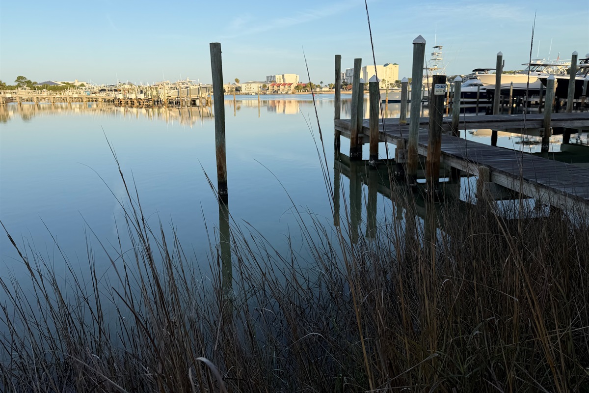 Serene harbor view from the docks at Louisiana Lagniappe
