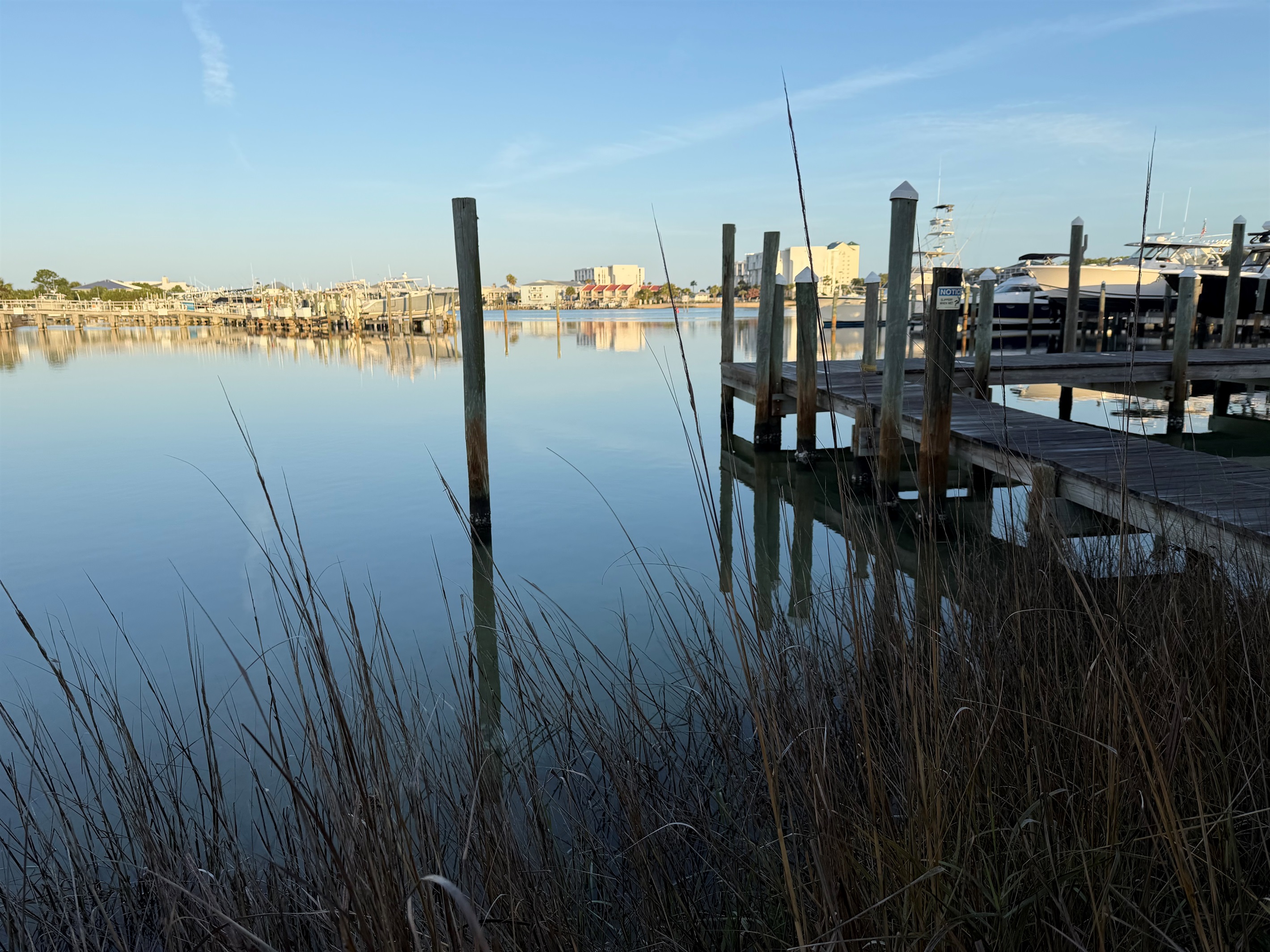 Serene harbor view from the docks at Louisiana Lagniappe