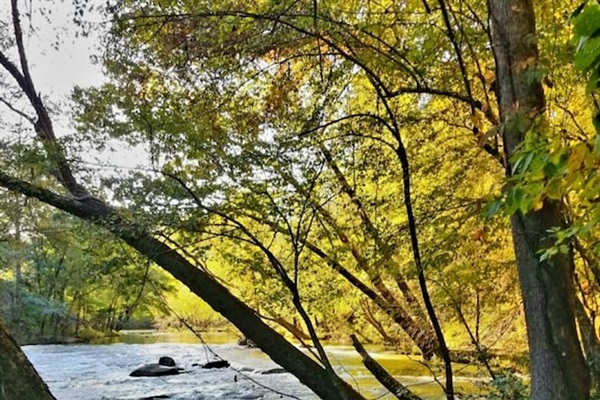 River below the cabin