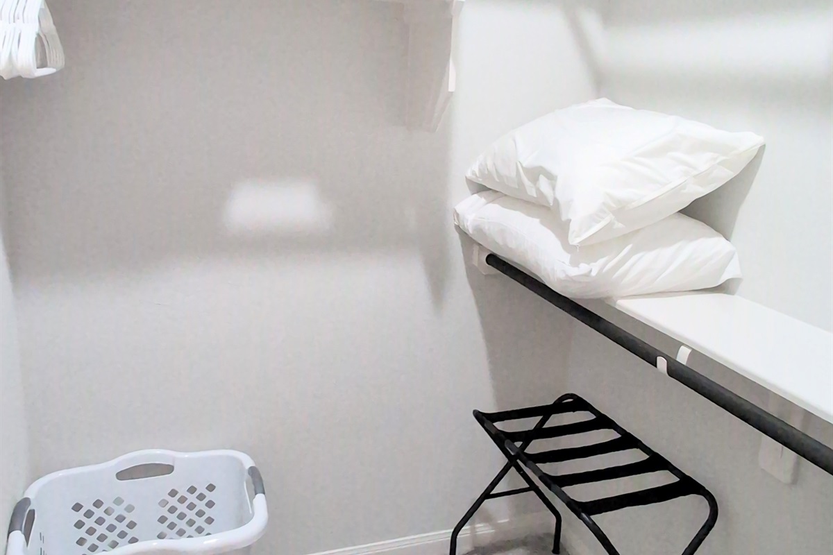 Large walk-in closet with extra bedding, hangers, sofa bed supplies, and luggage racks.