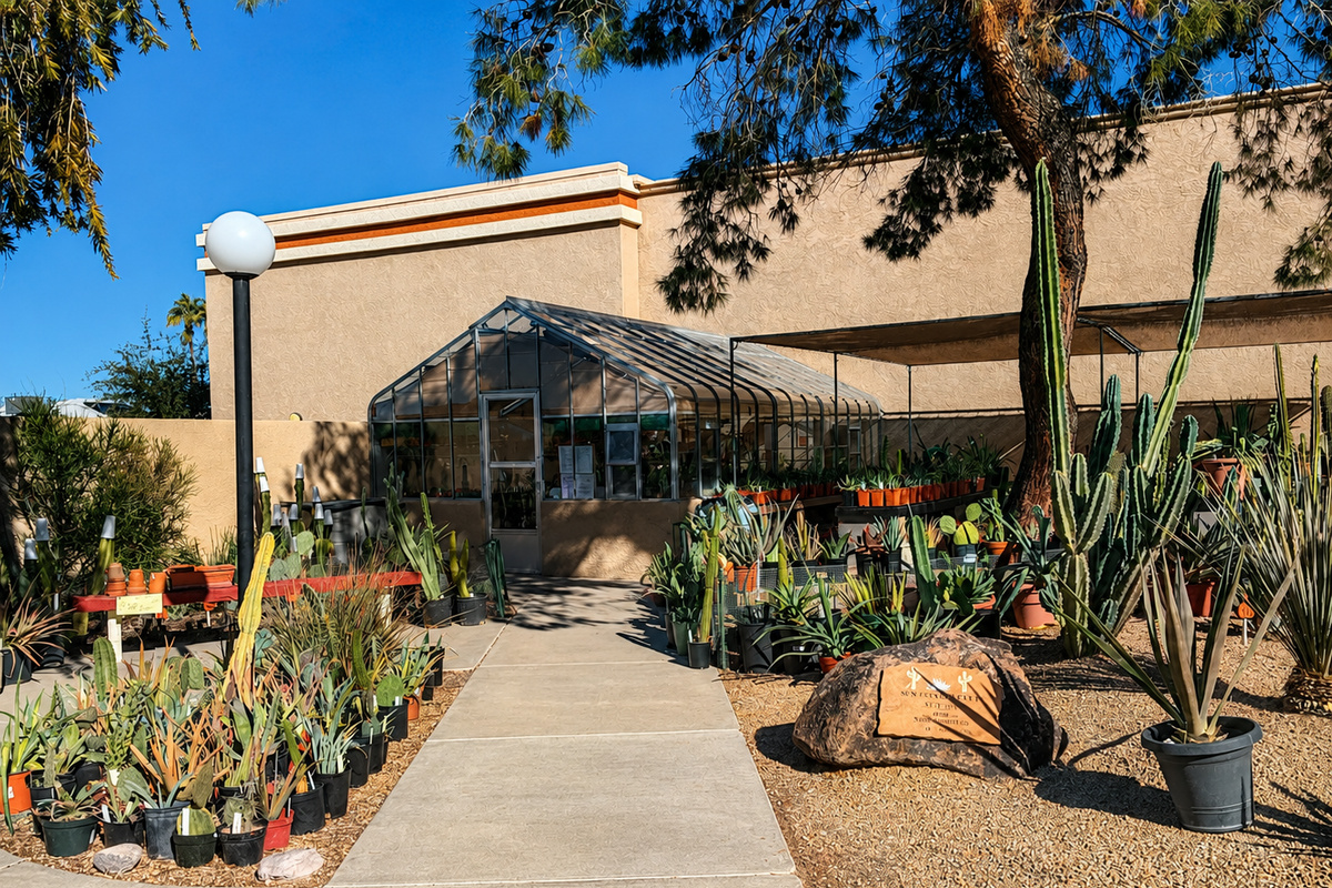55+ Comfort & Quiet | 2BR Peaceful Home — 55+ Comfort & Quiet | 2BR Peaceful Home, Sun City West, Arizona — photo 43