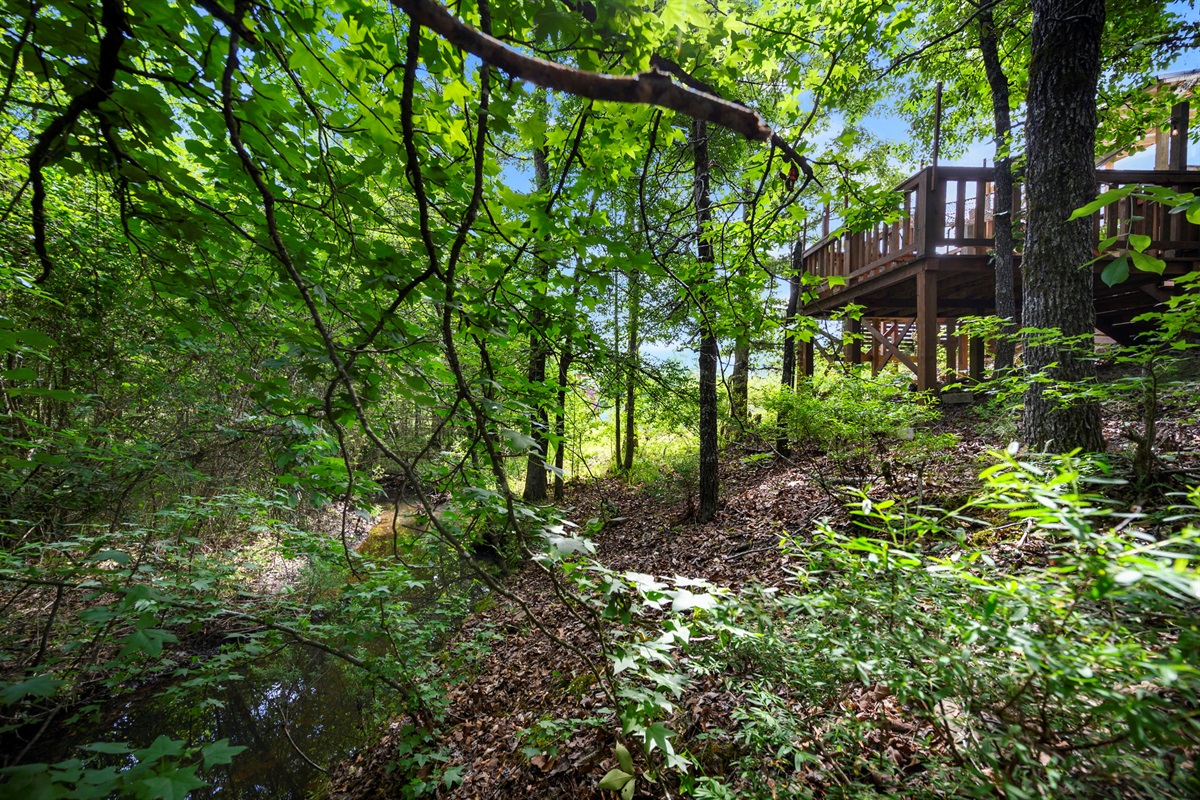 Deck overlooks Seasonal Creek