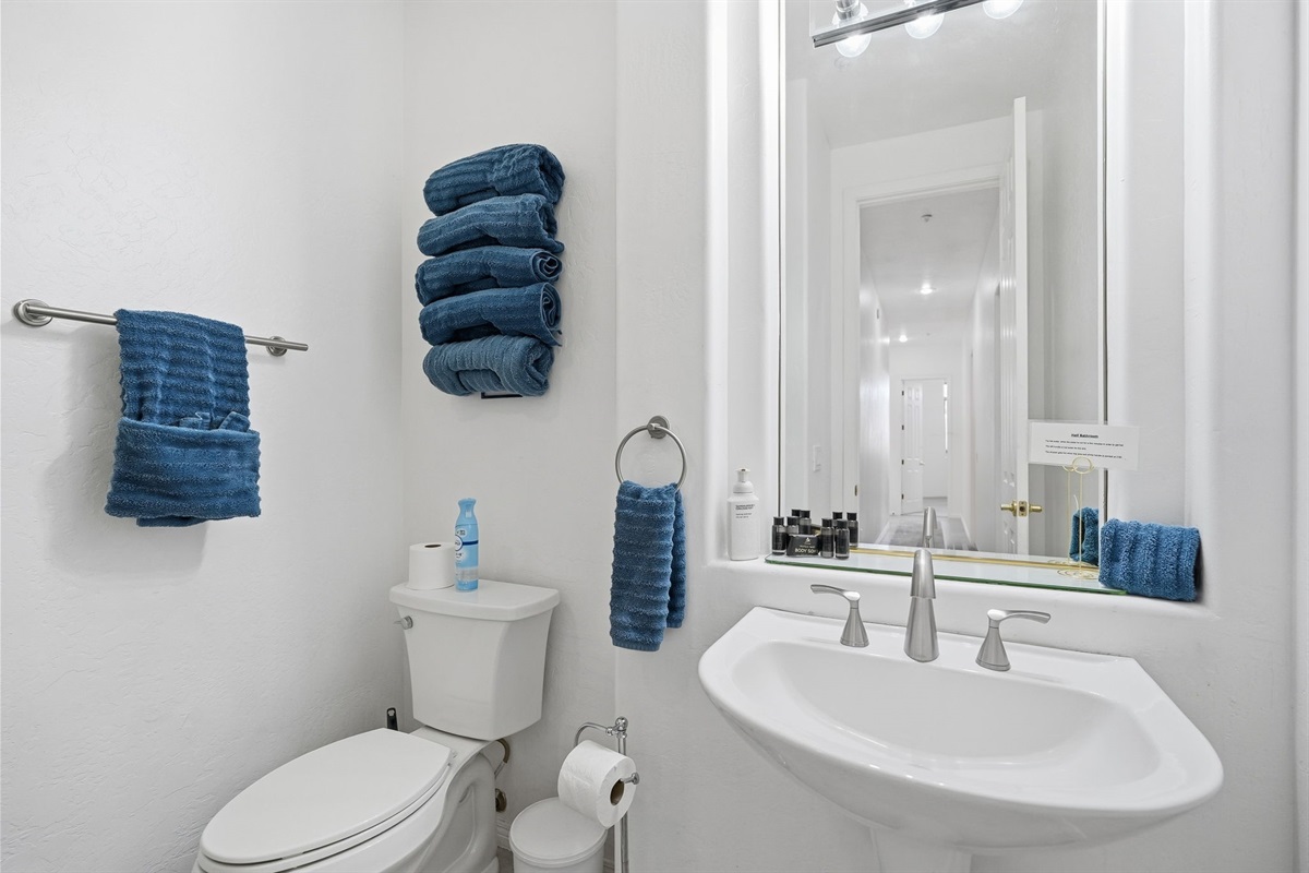 Third full bathroom off the living room with walk-in shower.
