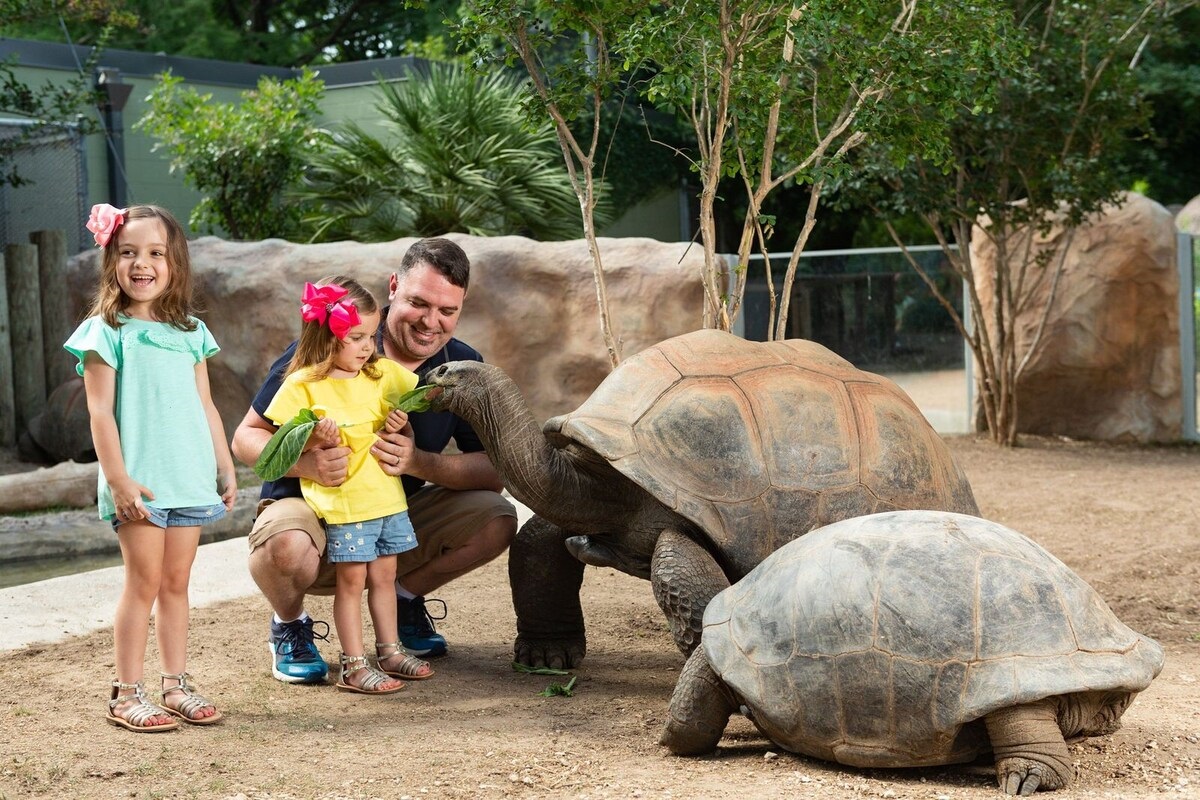 The San Antonio Zoo is a renowned zoo with many attractions & surrounding parks.