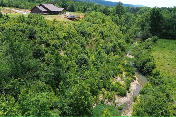 Dense forest and river corridor providing privacy and wildlife sightings.