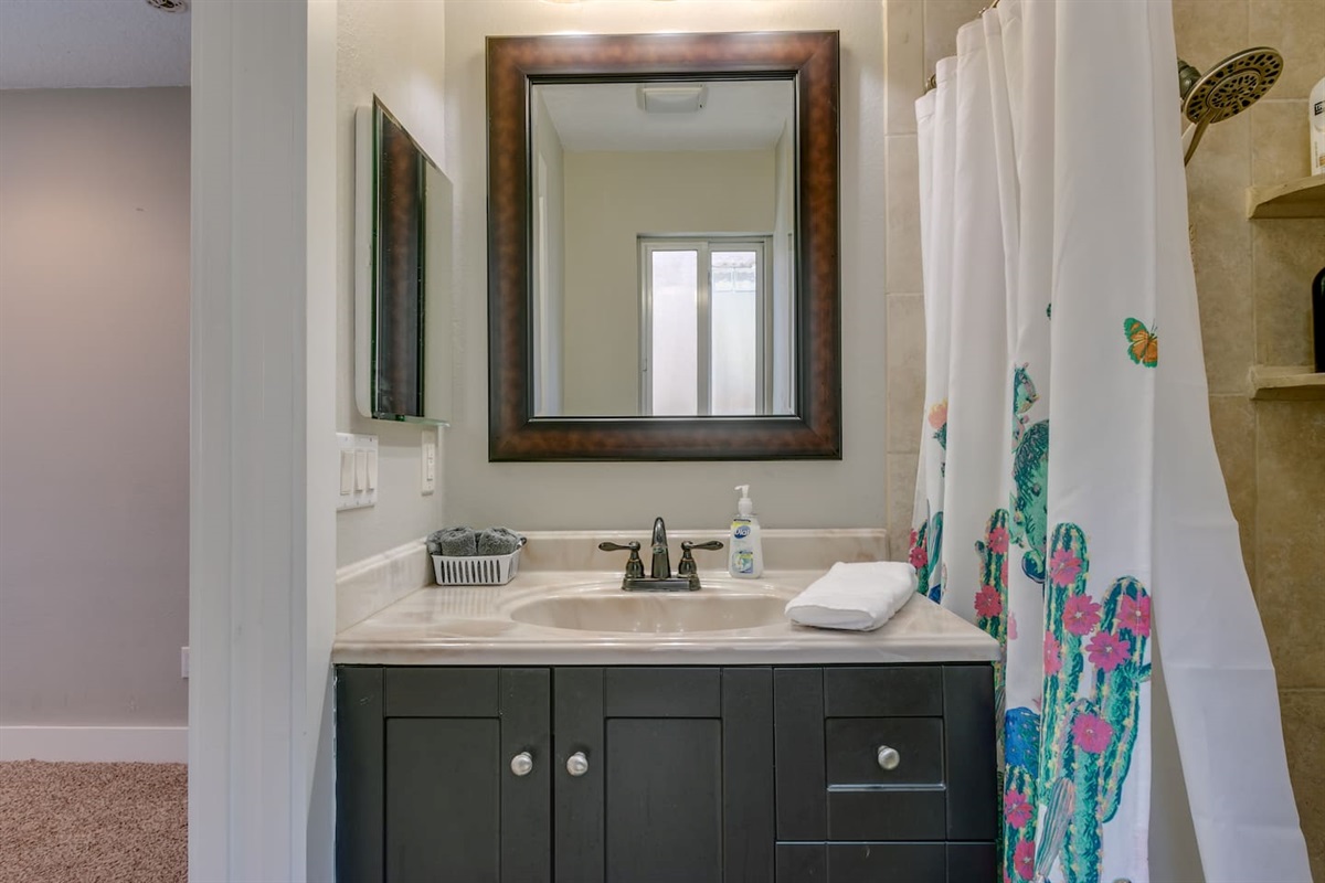 Updated Master Bathroom