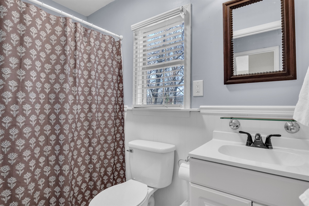 Guest bathroom