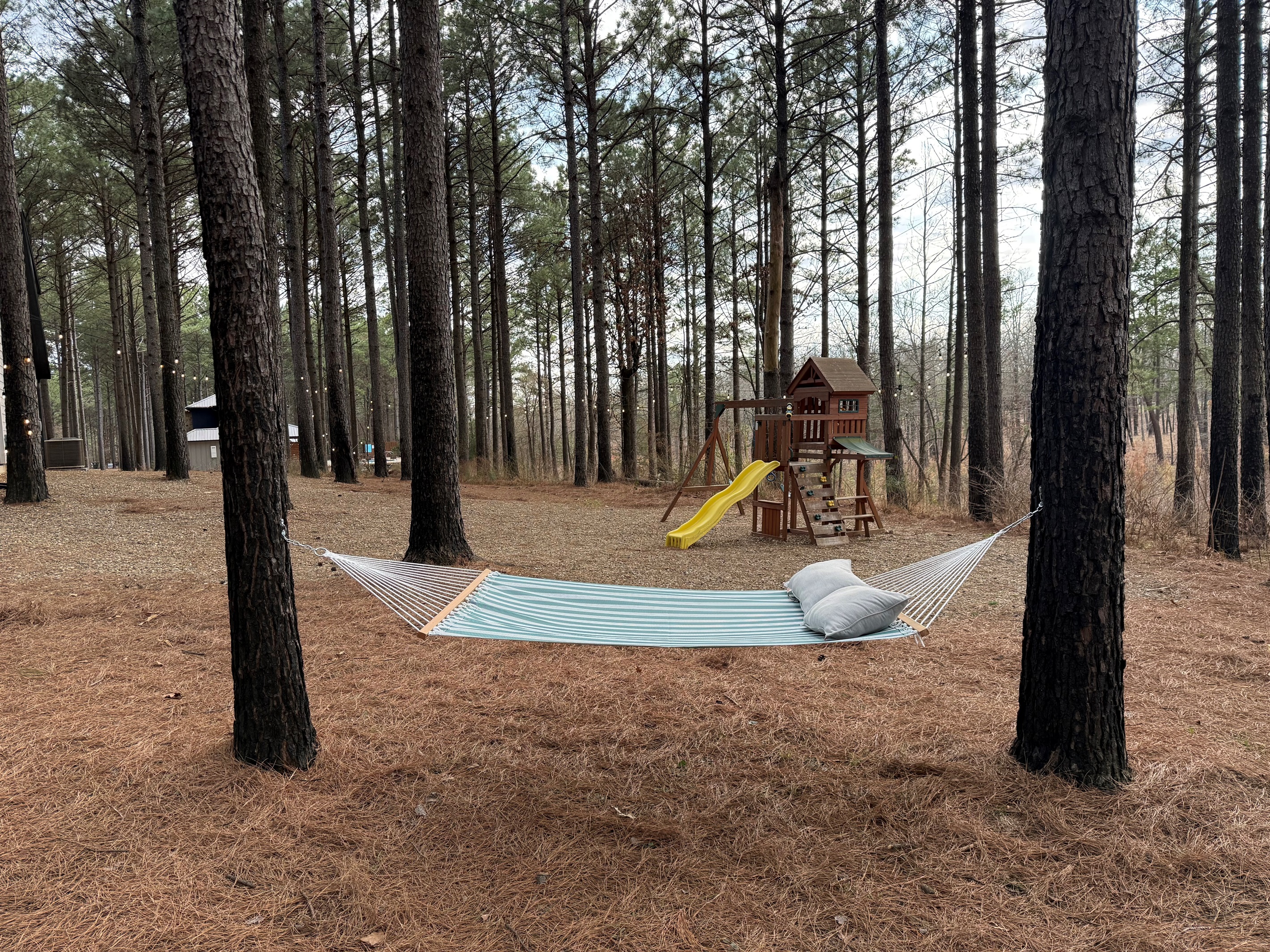 Hammock to chill in the outdoors!