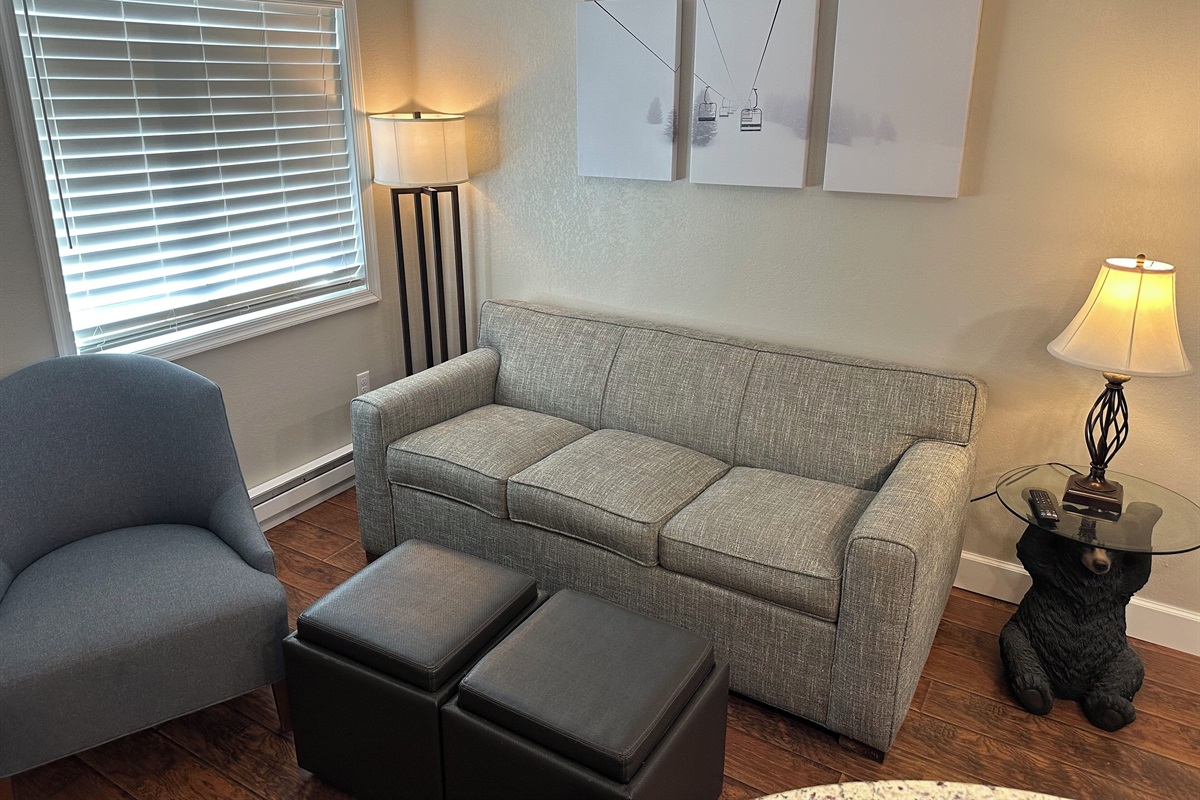 Our living room features a sleeper sofa with extra thick comfortable mattress.