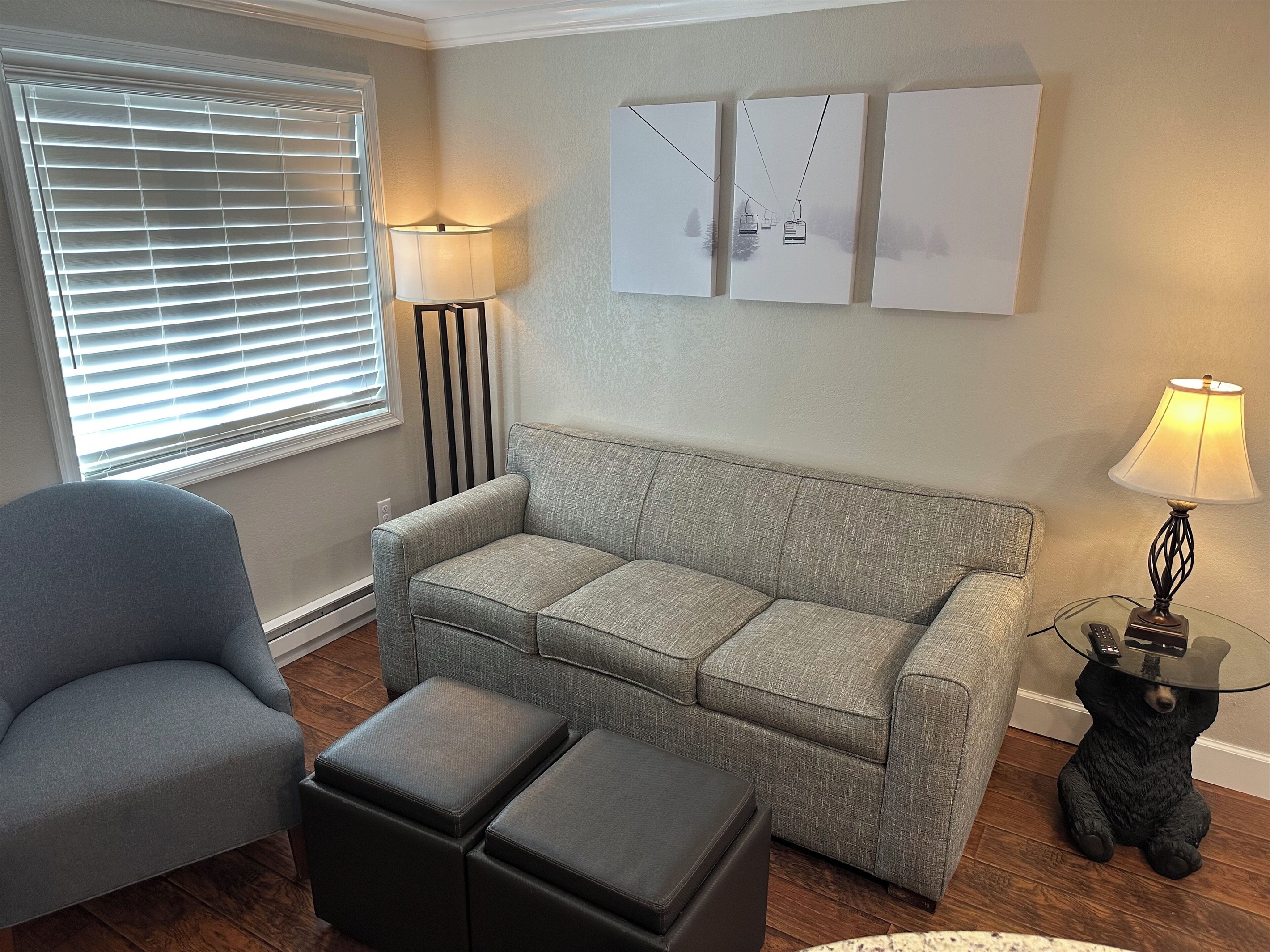 Our living room features a sleeper sofa with extra thick comfortable mattress.