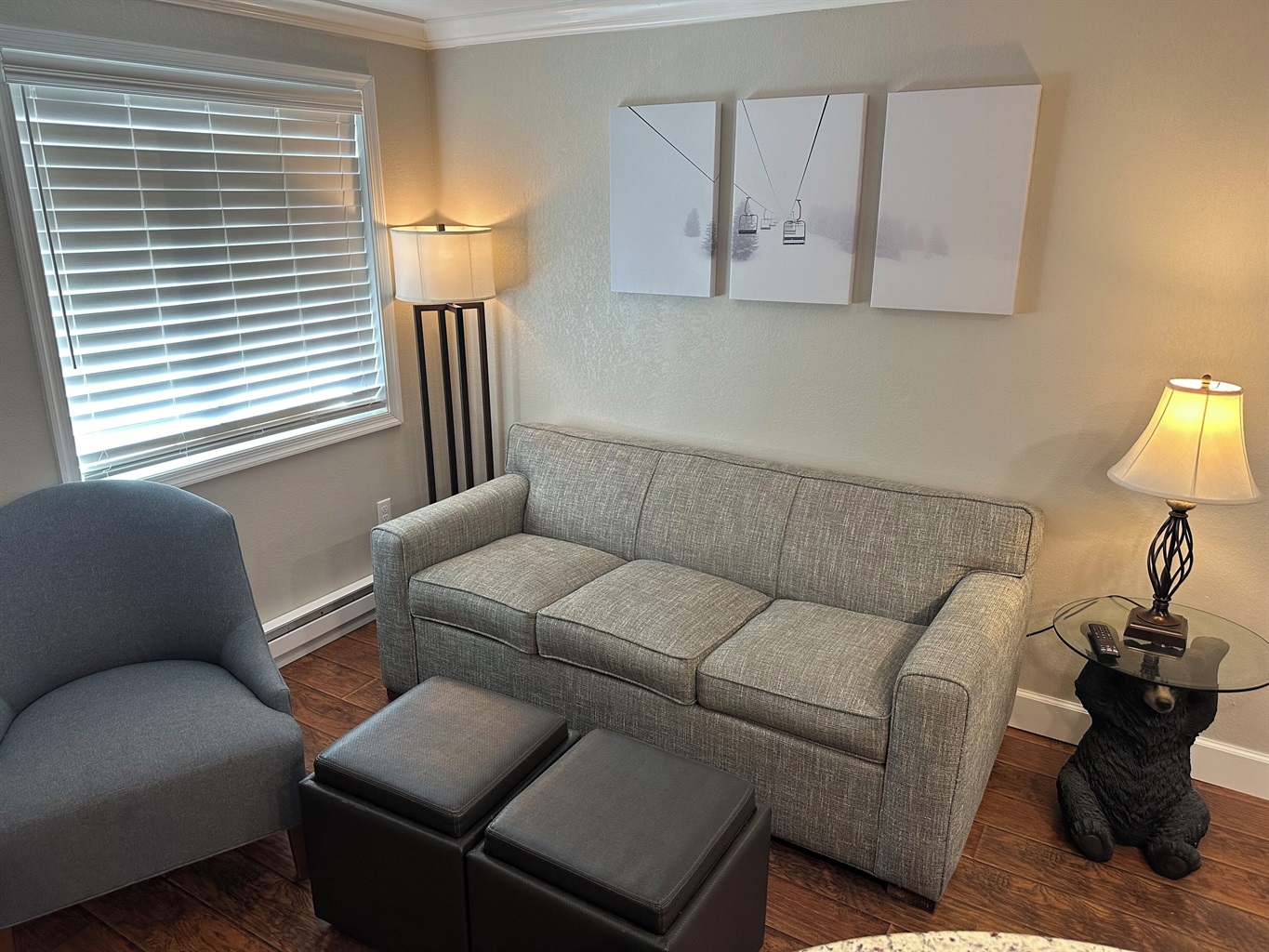 Our living room features a sleeper sofa with extra thick comfortable mattress.
