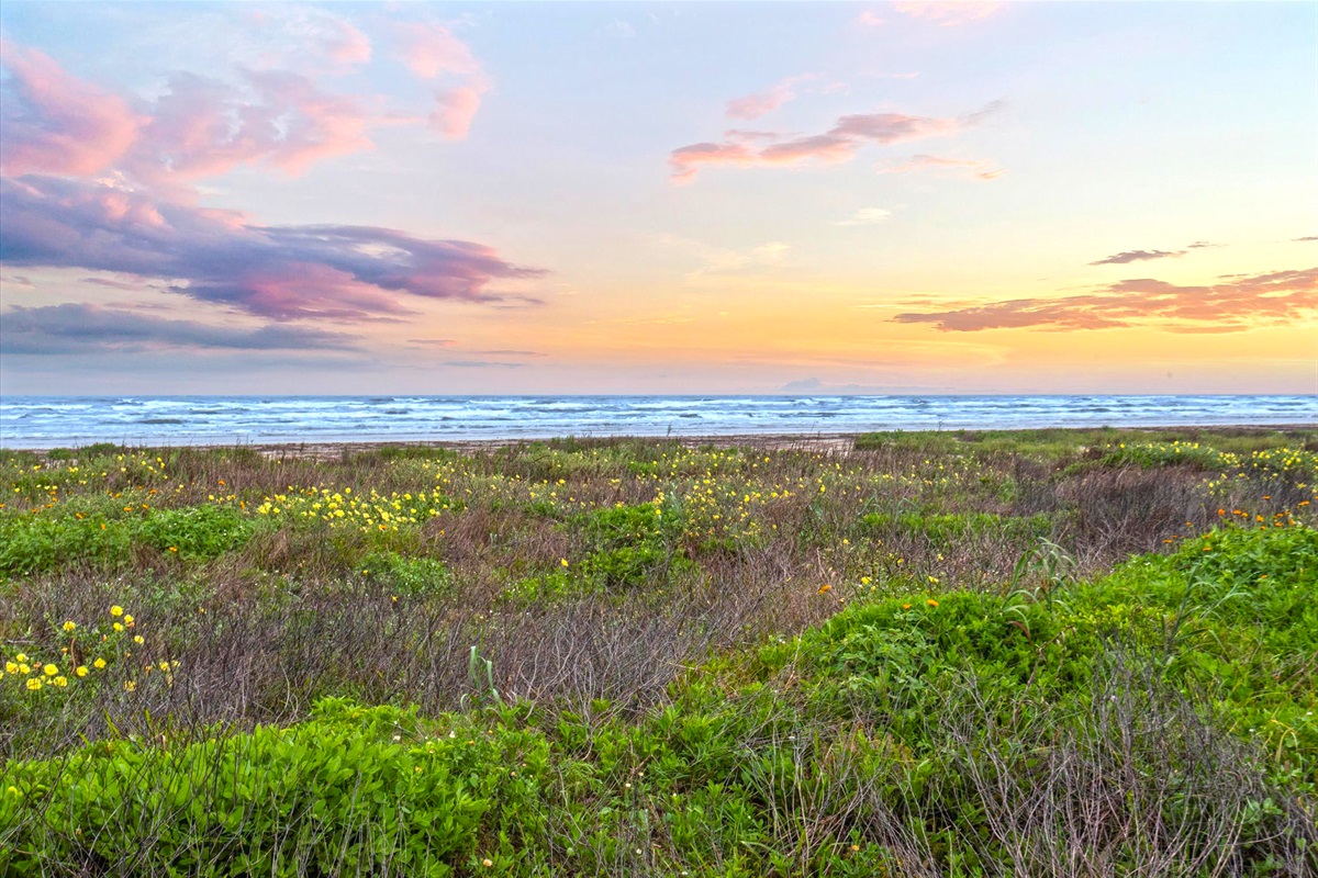 e9db5204fb5c408bb98c5cba0587f2d4 Large | Beachhouse | Texas | TX | Vacation Homes | Galveston | Crystal Beach | Kokomo | Breezy Days | Beachfront Elegance | Sunrise Serenity | Southern Sands Property Management, LLC