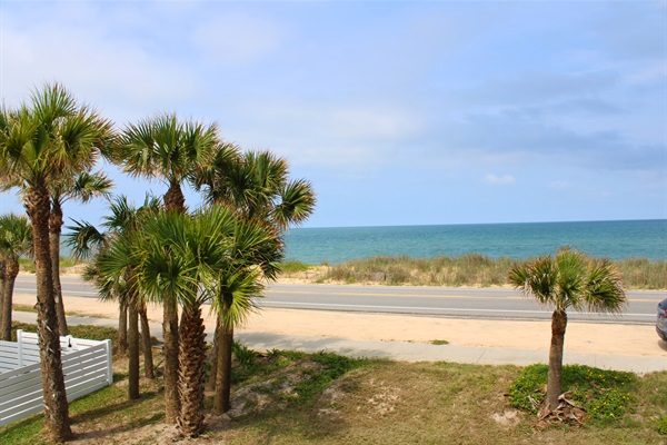 Oceanview Paradise: Sip your morning coffee with stunning beach views framed by swaying palms!