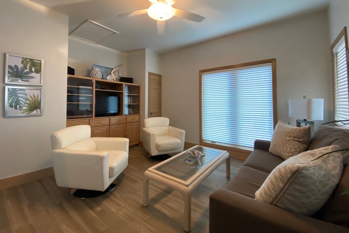Third bedroom/den with sleeper sofa