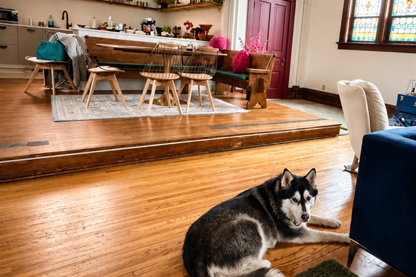We are pet-friendly!