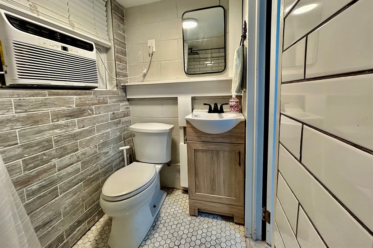 Downstairs bathroom, recently remodeled