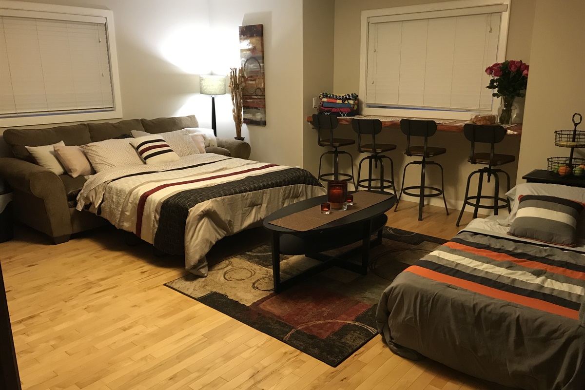 GUEST LIVING ROOM. PULL OUT COUCH AND LIVE EDGE EATING BAR. LOTS OF SPACE TO RELAX.