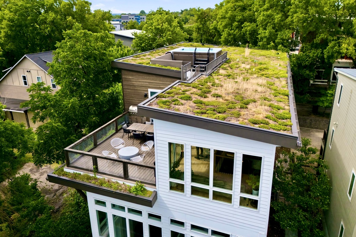 Aerial view of the living green roof & rooftop terrace tucked above the surrounding canopy.
