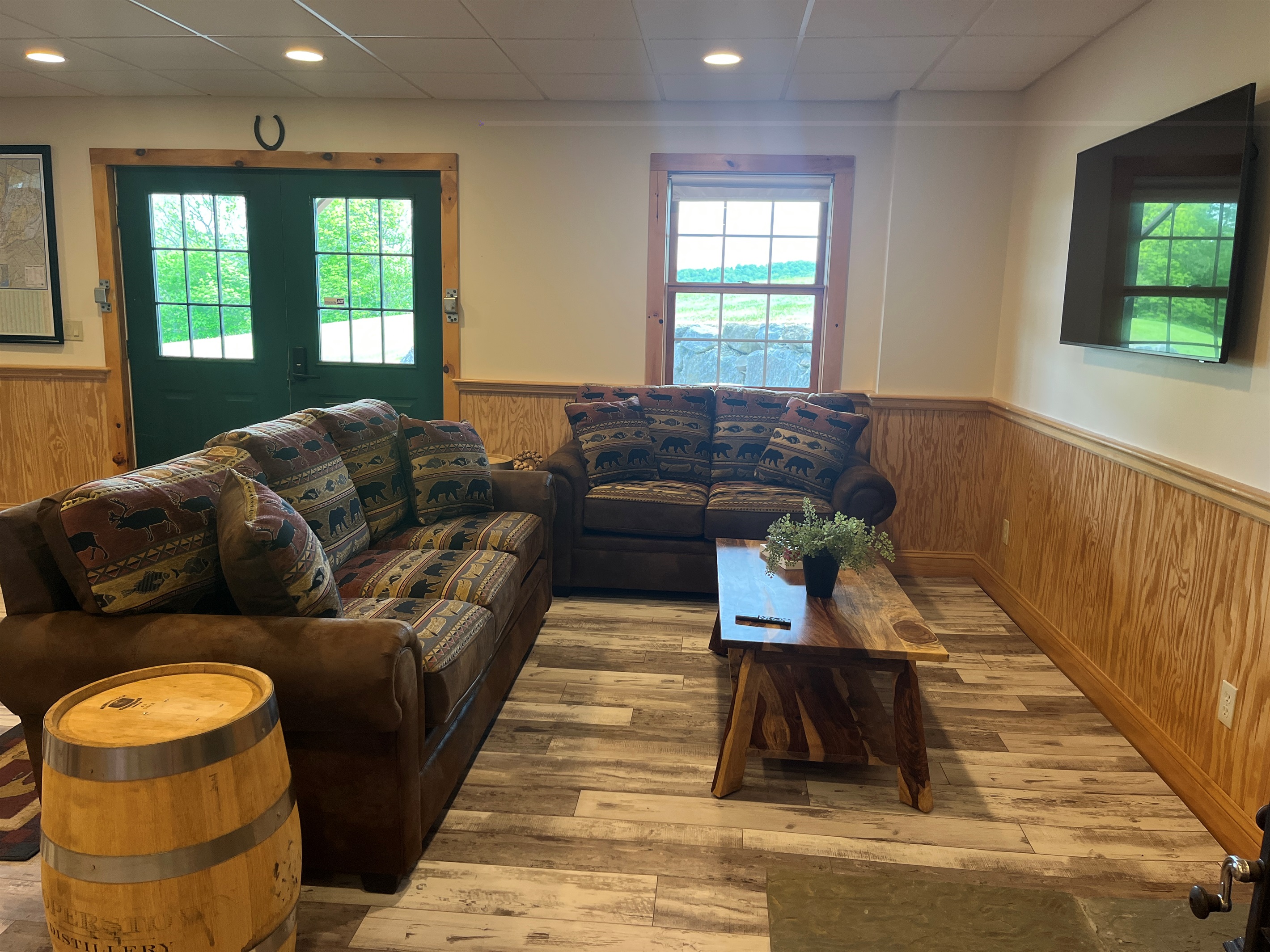 TV area in gameroom