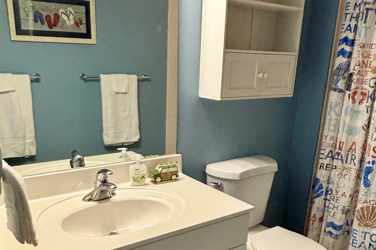 Another view of the 2nd bathroom