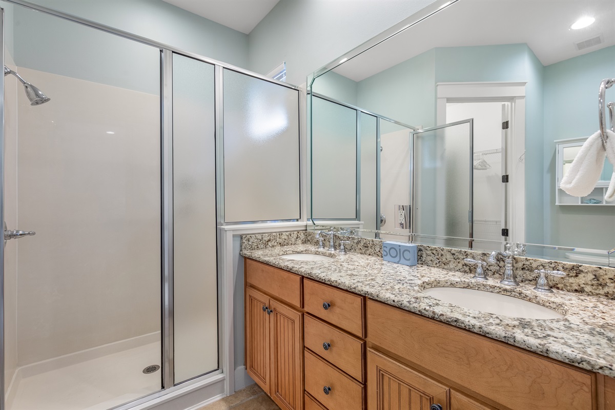 Double Vanity: Master