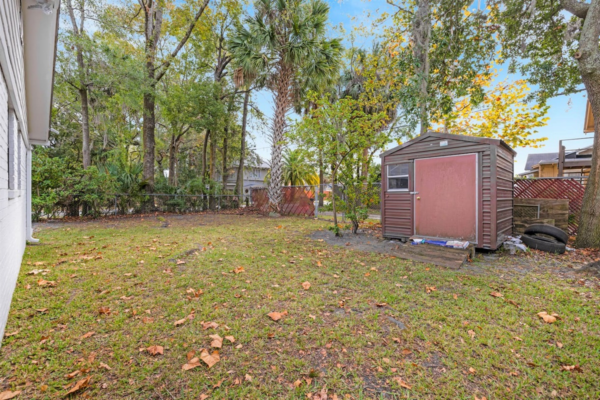 Backyard
