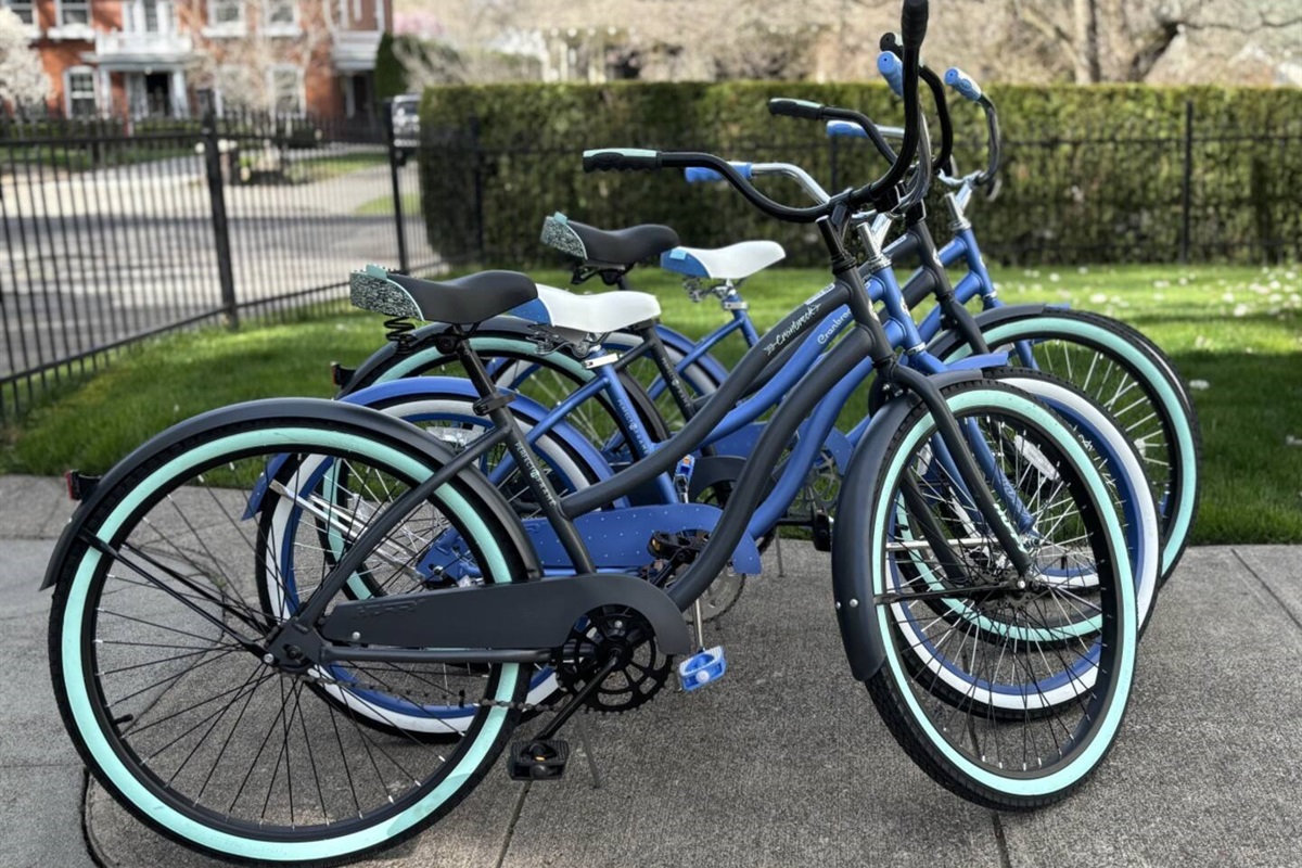 4 adult bicycles available for guests 