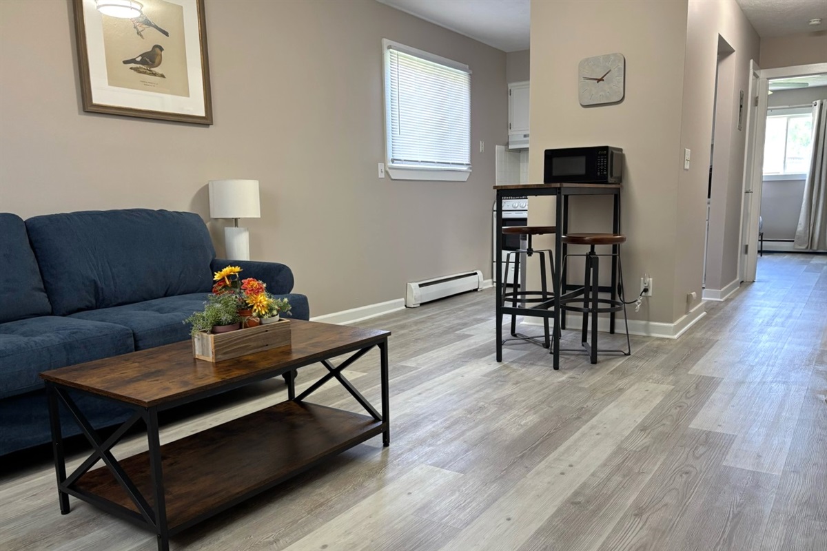 Living/Dining Area